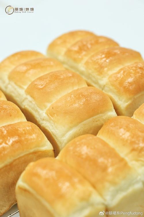 各种职业中英文对照描述