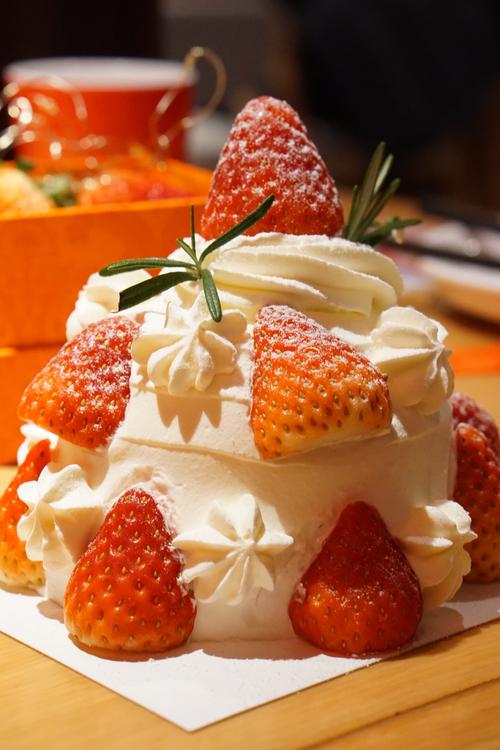 在什么地方的故事作文500 在什么地方的故事作文500